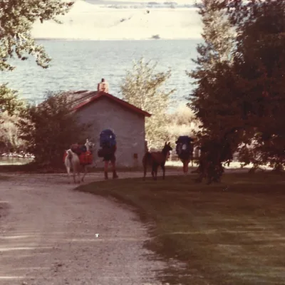 History Image 4