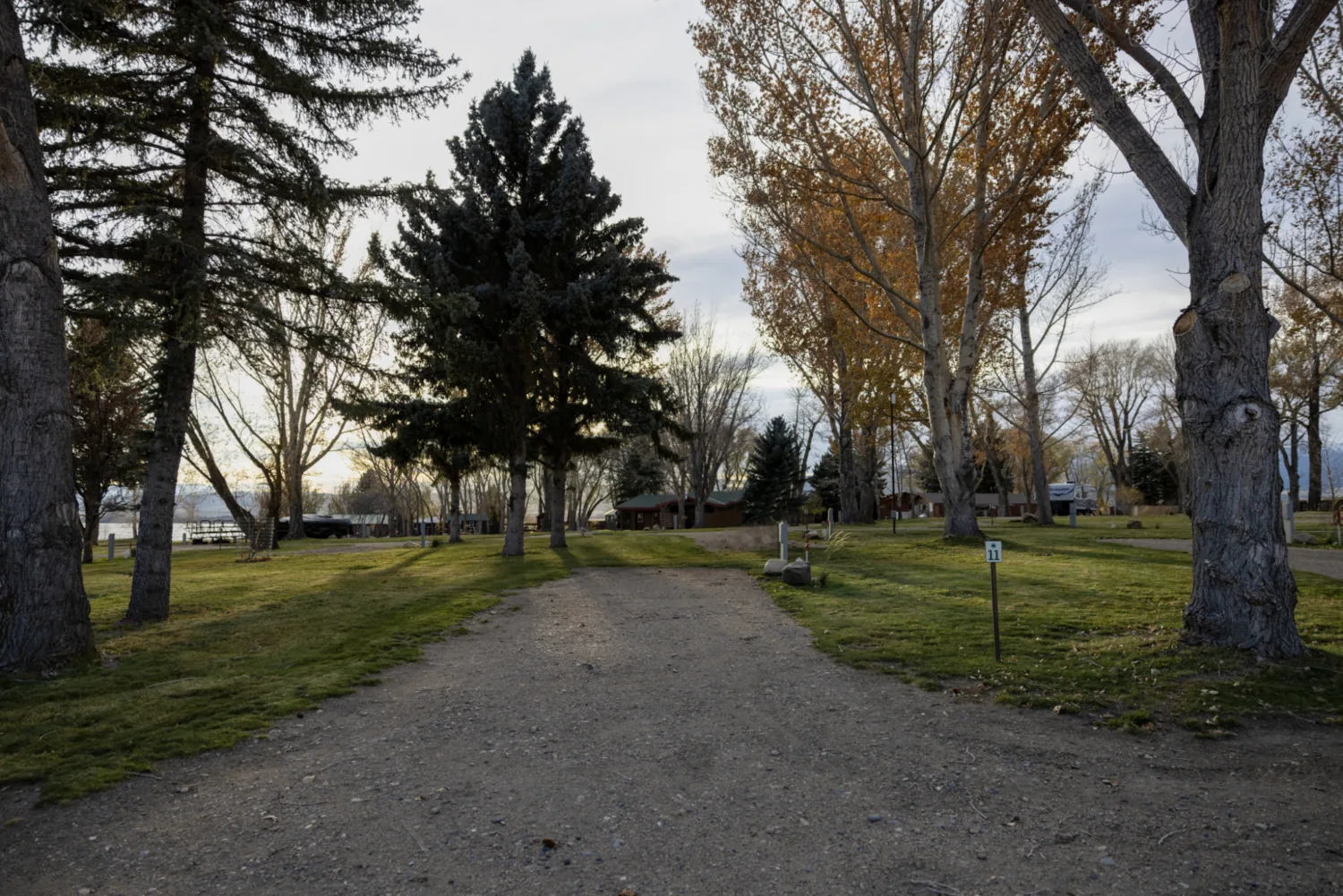 site-11